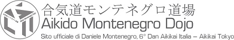Logo Daniele Montenegro, Aikido Aikikai